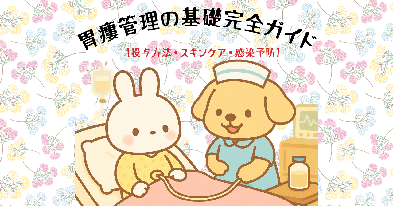 胃瘻栄養管理の実践テクニック｜安全で確実な経腸栄養の手順【投与方法・スキンケア・感染予防】